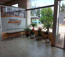 Asesoramiento y Atencion Personalisada